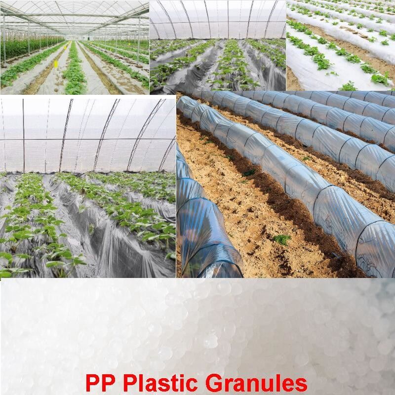 Agriculture Film PP Plastic Granules Polypropylene Plastic Pellets SGS